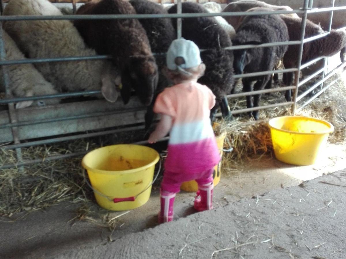 Holiday On An Organic Farm In 하르트 임 칠레르탈 외부 사진